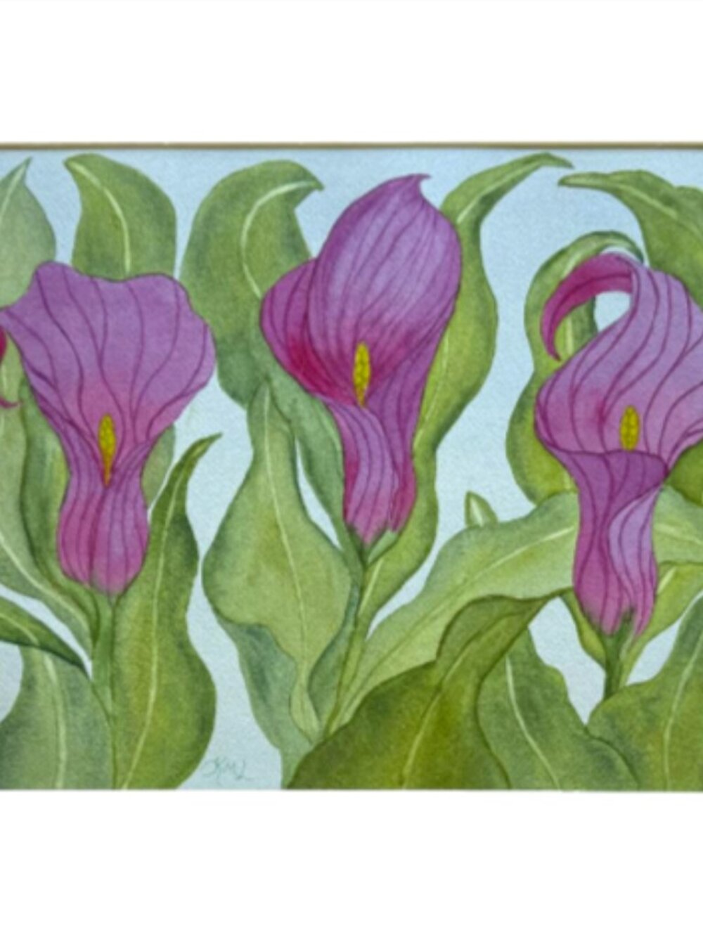 Painting Watercolor Flower Calla Lily Purple 11x14 & Mat 16x20 Original Art Boho